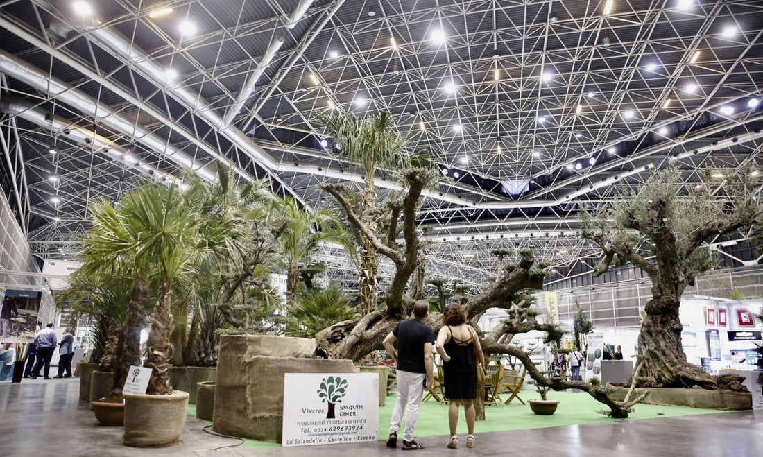 Feria Iberflora en Valencia: guía útil para saber qué es, cómo se organiza y qué ver