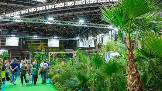 Avances en Jardinería y Paisajismo: Nuestra Experiencia en IBERFLORA