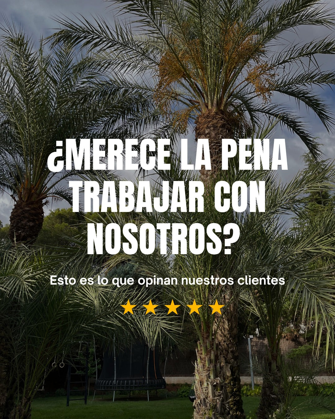 ¿Merece la Pena Trabajar con Nosotros? Esto es Lo Que Opinan Quienes Ya Disfrutan de Su Jardín en Valencia