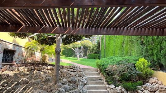 Construcción en Campolivar: Creando un jardín sostenible y de bajo mantenimiento.