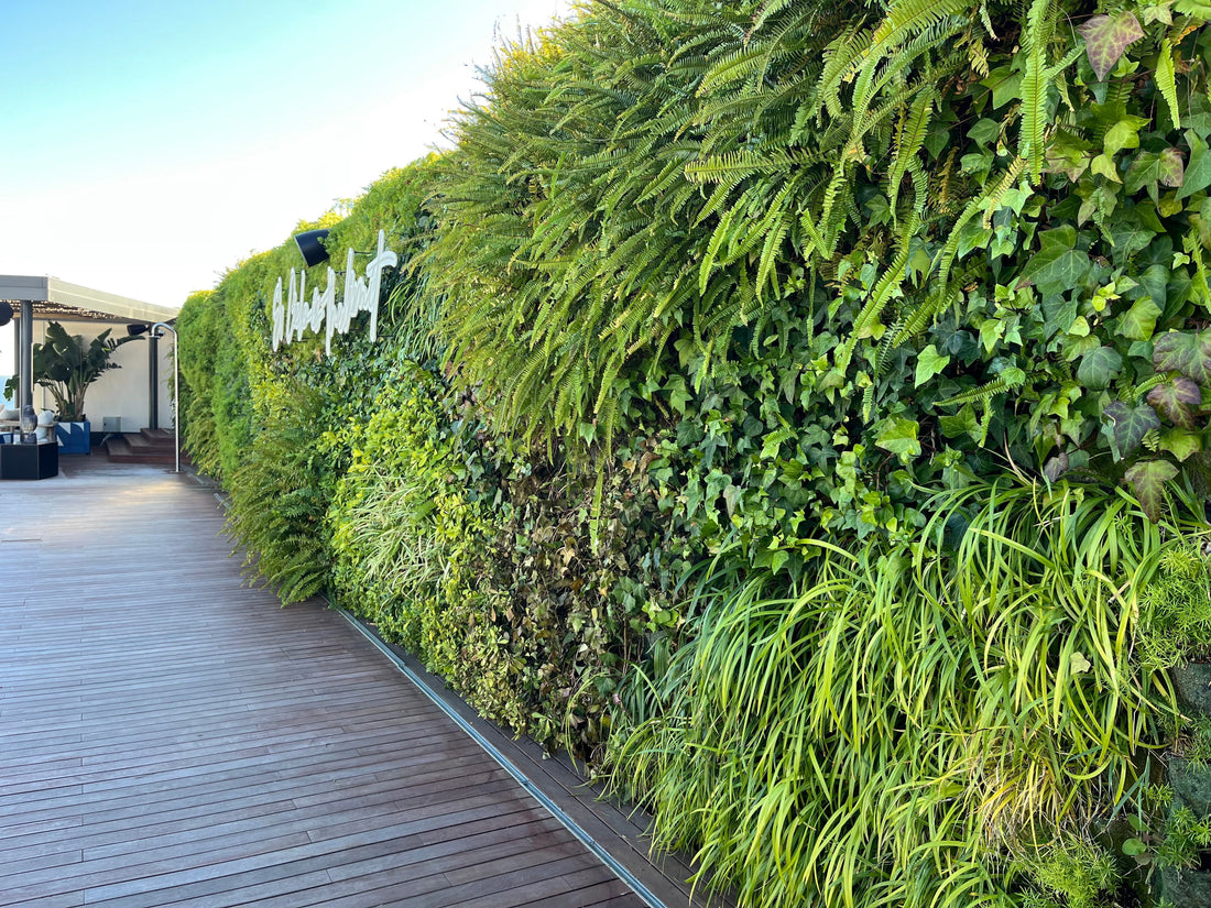 Jardines Verticales en Valencia: Instalación, Ventajas y Mantenimiento