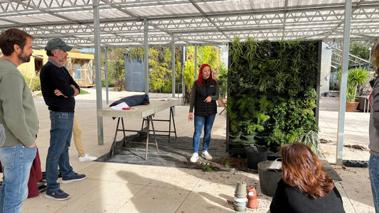 Transformando Horizontes Urbanos: Nuestro recorrido en el Curso de Jardines Verticales y Cubiertas Vegetales.