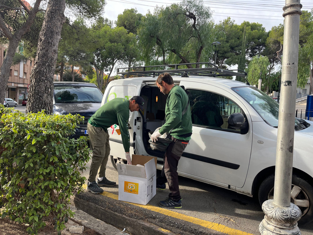 Cuidando de Godella: Limpiando, Protegiendo y Preservando el entorno.