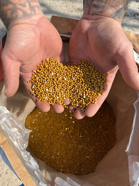 Abono de liberación lenta: El truco para alimentar tus plantas sin esfuerzo