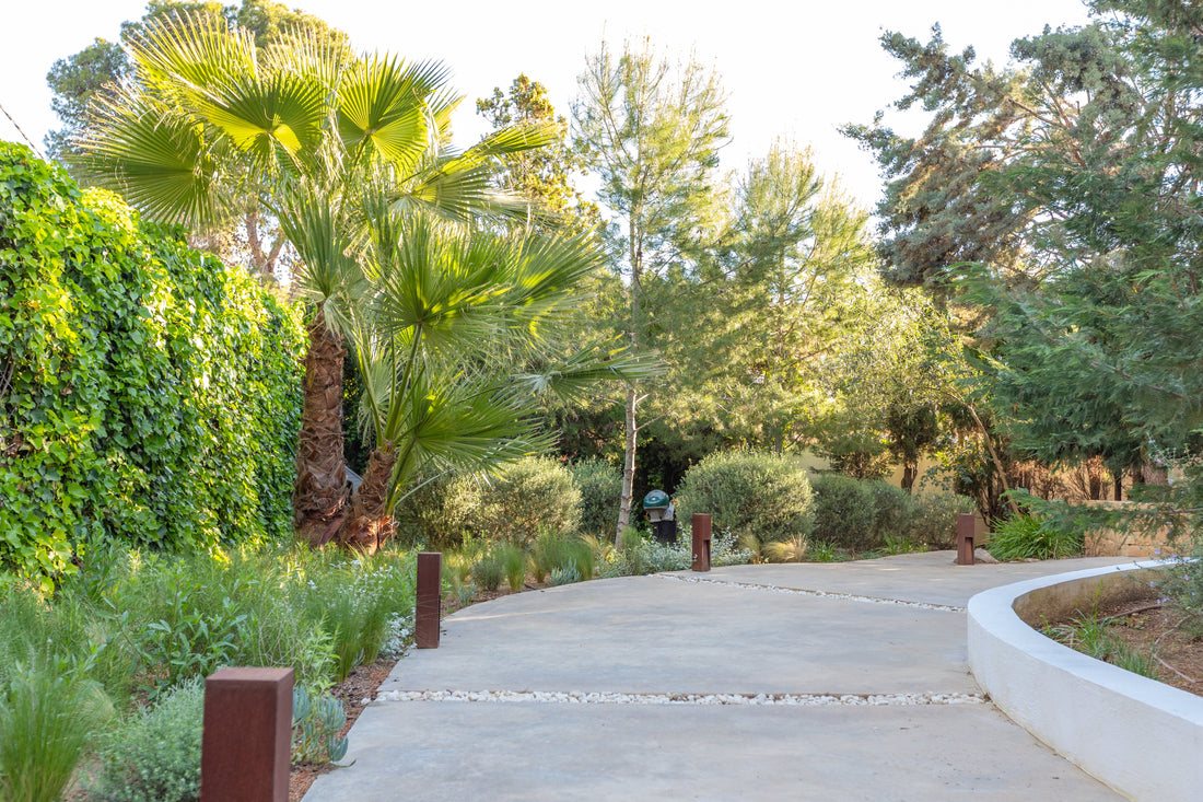 Jardines naturalistas: El refugio que tu mente y cuerpo necesitan