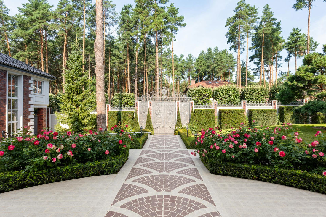 Decoración de Jardines: Inspiración, Estilos y Claves para Transformar tu Jardín