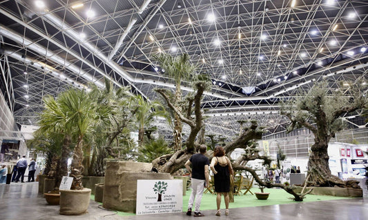 Feria Iberflora en Valencia: guía útil para saber qué es, cómo se organiza y qué ver