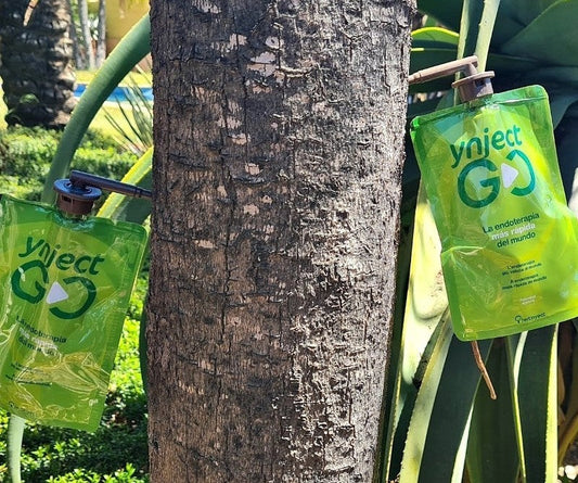 Salva tus Pinos y Palmeras sin Fumigar: La Guía de Endoterapia para Bétera y El Bosque