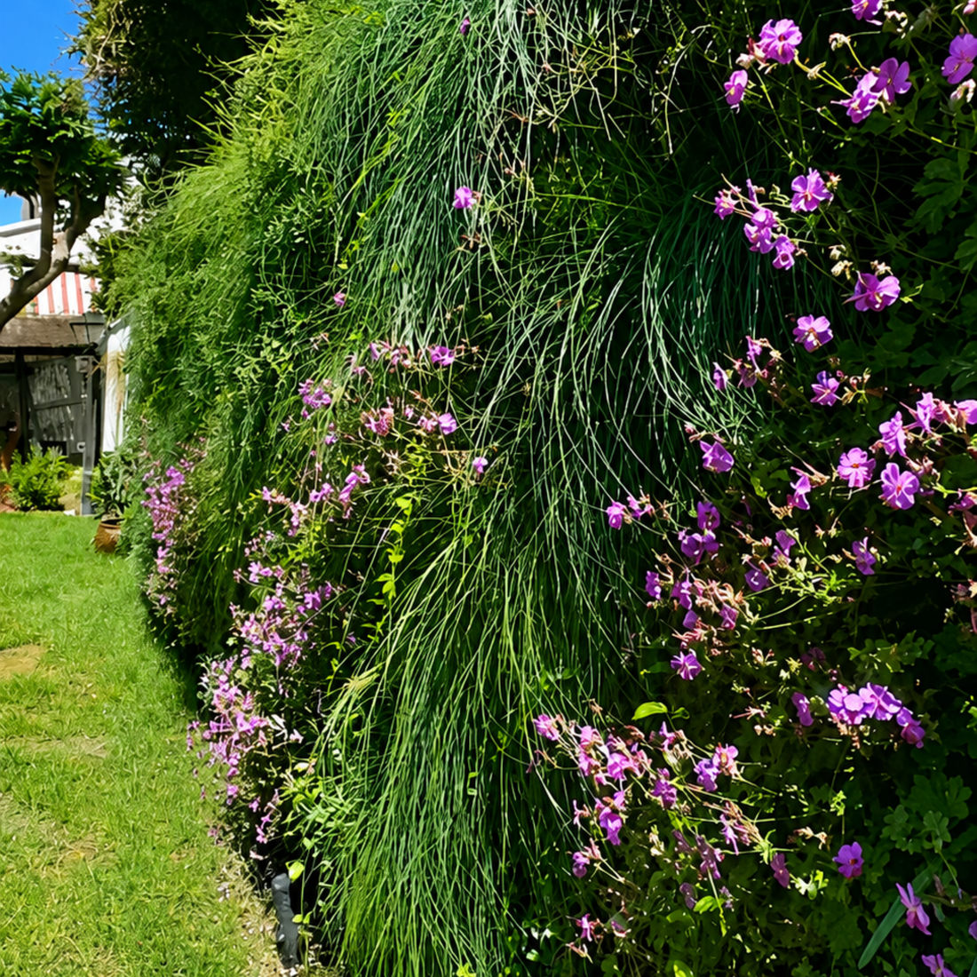 Jardín vertical en un chalet de Valencia: cómo se transforma una pared en paisaje