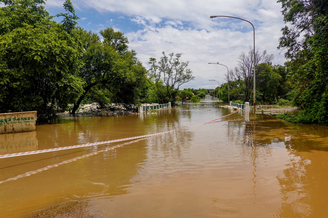 Ciudades Esponja y Ciudades Inundables: La Revolución del Agua y el Paisajismo Sostenible en la Comunidad Valenciana