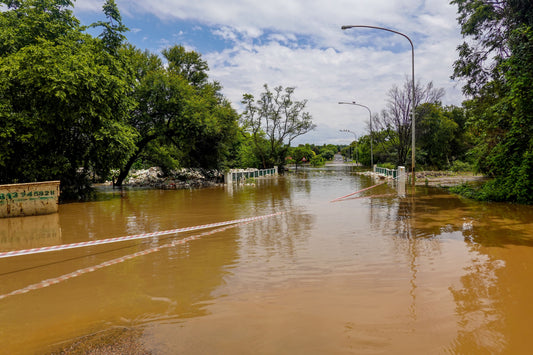 Ciudades Esponja y Ciudades Inundables: La Revolución del Agua y el Paisajismo Sostenible en la Comunidad Valenciana