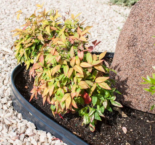 Rollo Separador Composite Negro